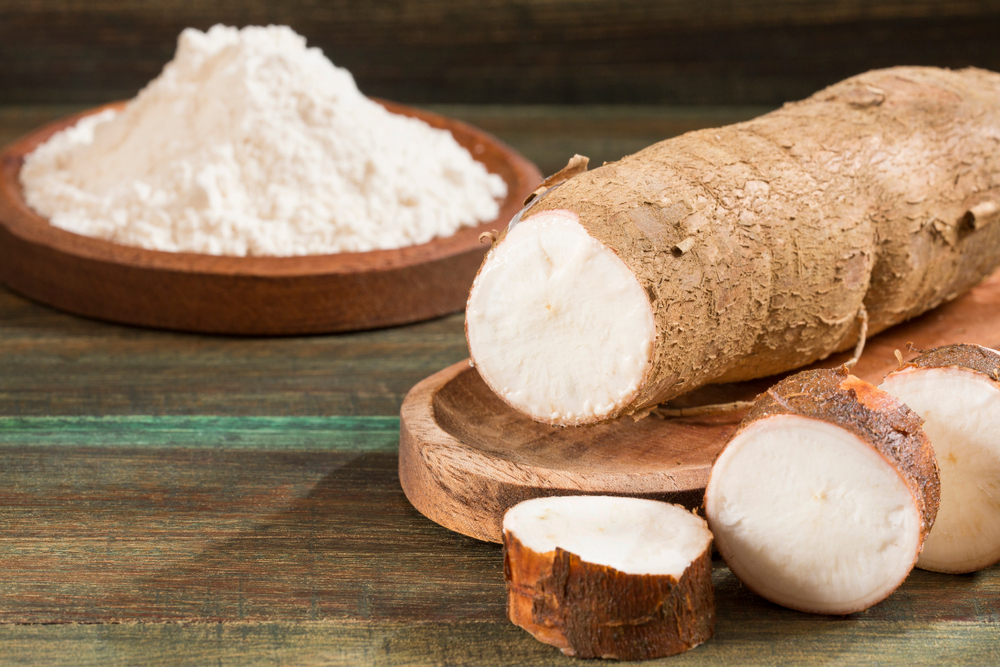 Cassava Roots During Pregnancy