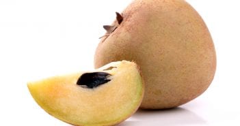 Health Benefits Of Sapota Fruit During Pregnancy Sapota During Pregnancy