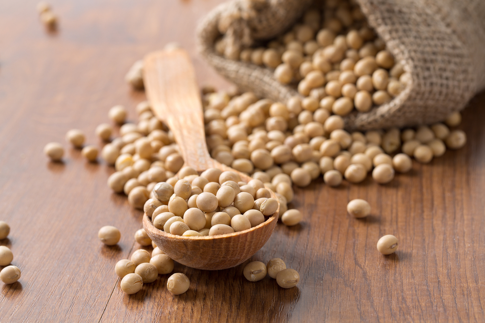 Soya Beans During Pregnancy