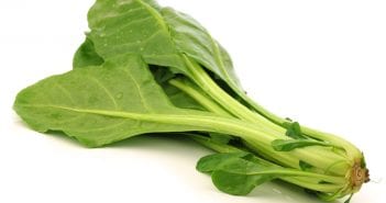 Health Benefits Chinese Spinach Or Water Spinach During Pregnancy Spinach During Pregnancy