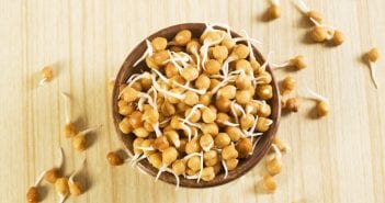Is It Safe To Have Sprouts During Pregnancy? Sprouts During Pregnancy