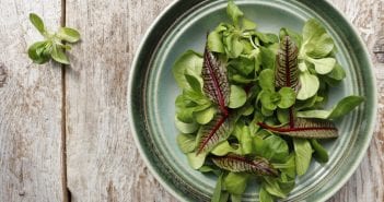 Is Sorrel (Pulicha Keerai) Safe During Pregnancy? Sorrel During Pregnancy