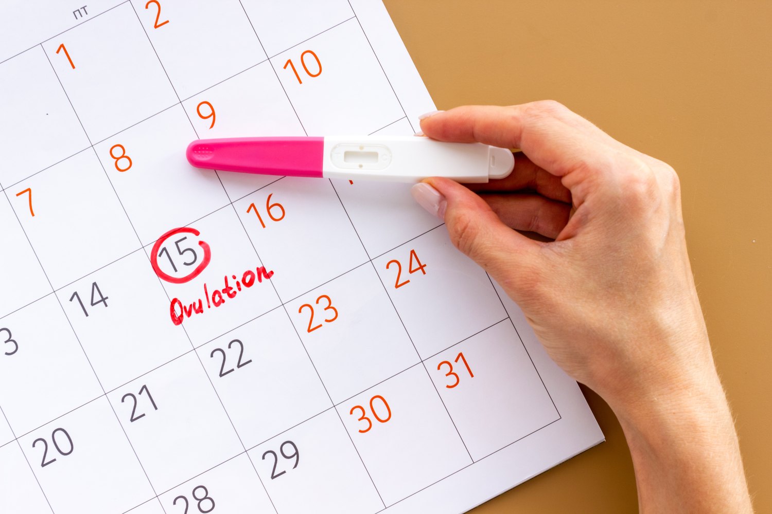 Track Your Most Fertile Days