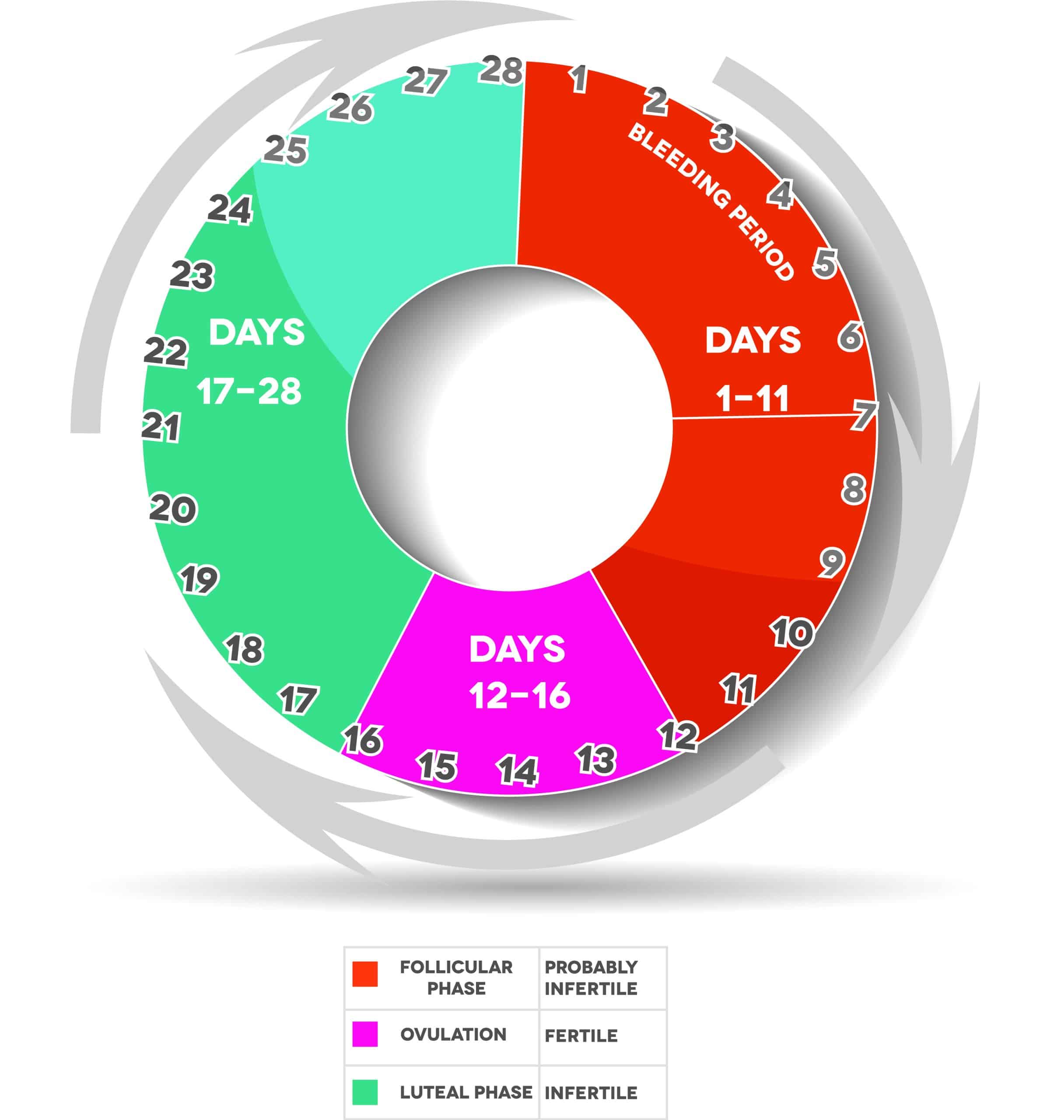 How to Calculate Safe Period To Avoid Pregnancy? Being The Parent