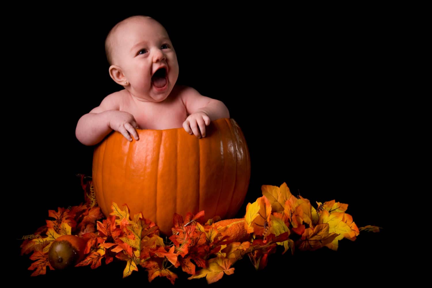 Pumpkin For Babies When to Introduce, Benefits And Precautions Being