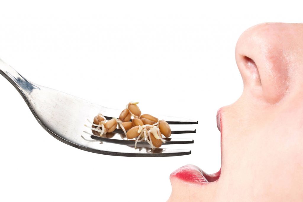 Eating Sprouts During Pregnancy Is it safe? Being The Parent