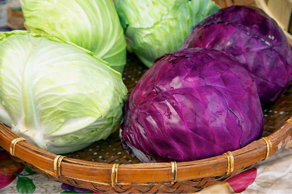 10 Effective Treatments For Relieving Breasts Being The Parent