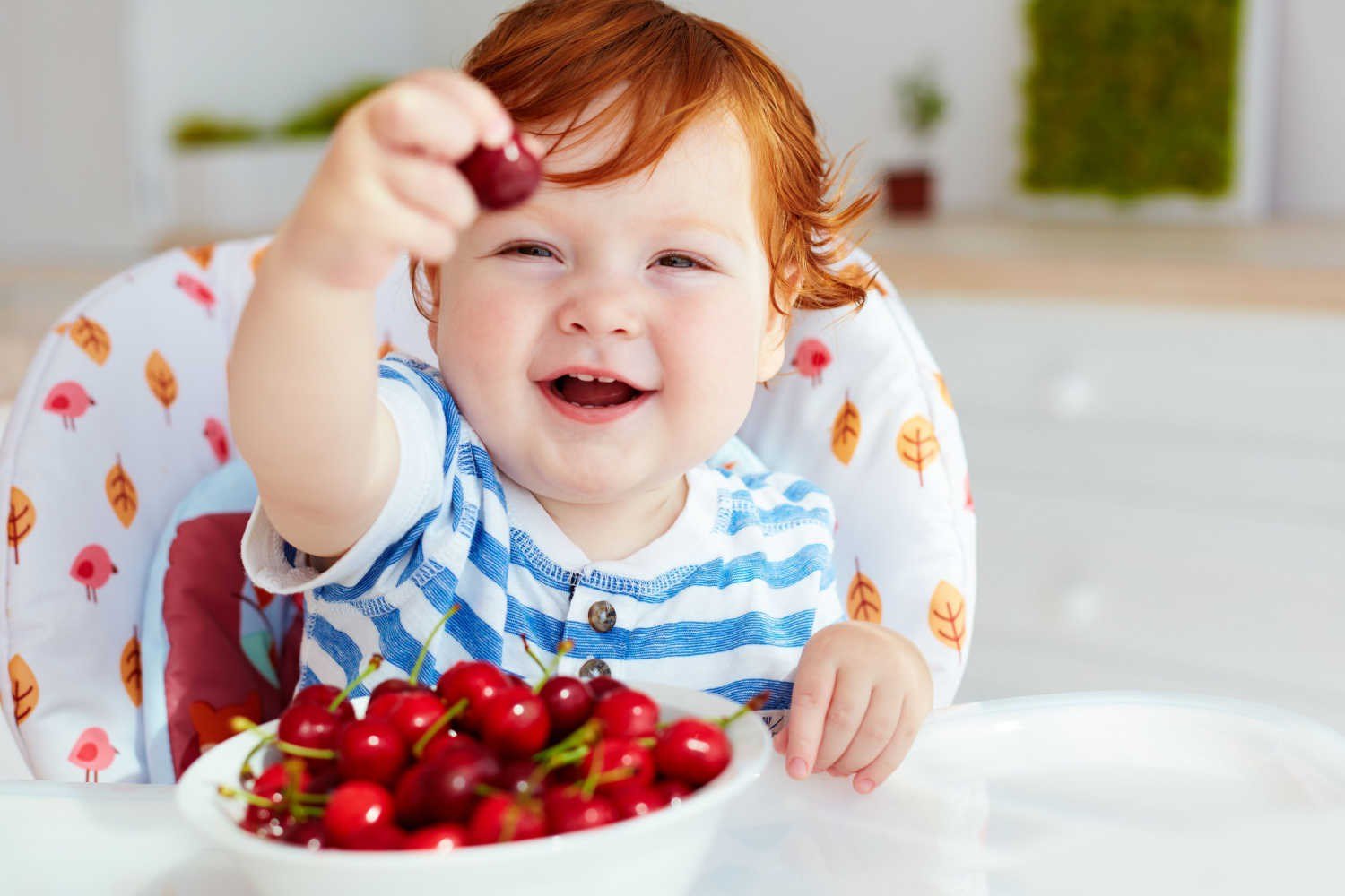 Precautions to Take While Introducing Cranberries For Babies