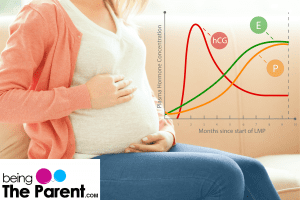Progesterone During Pregnancy