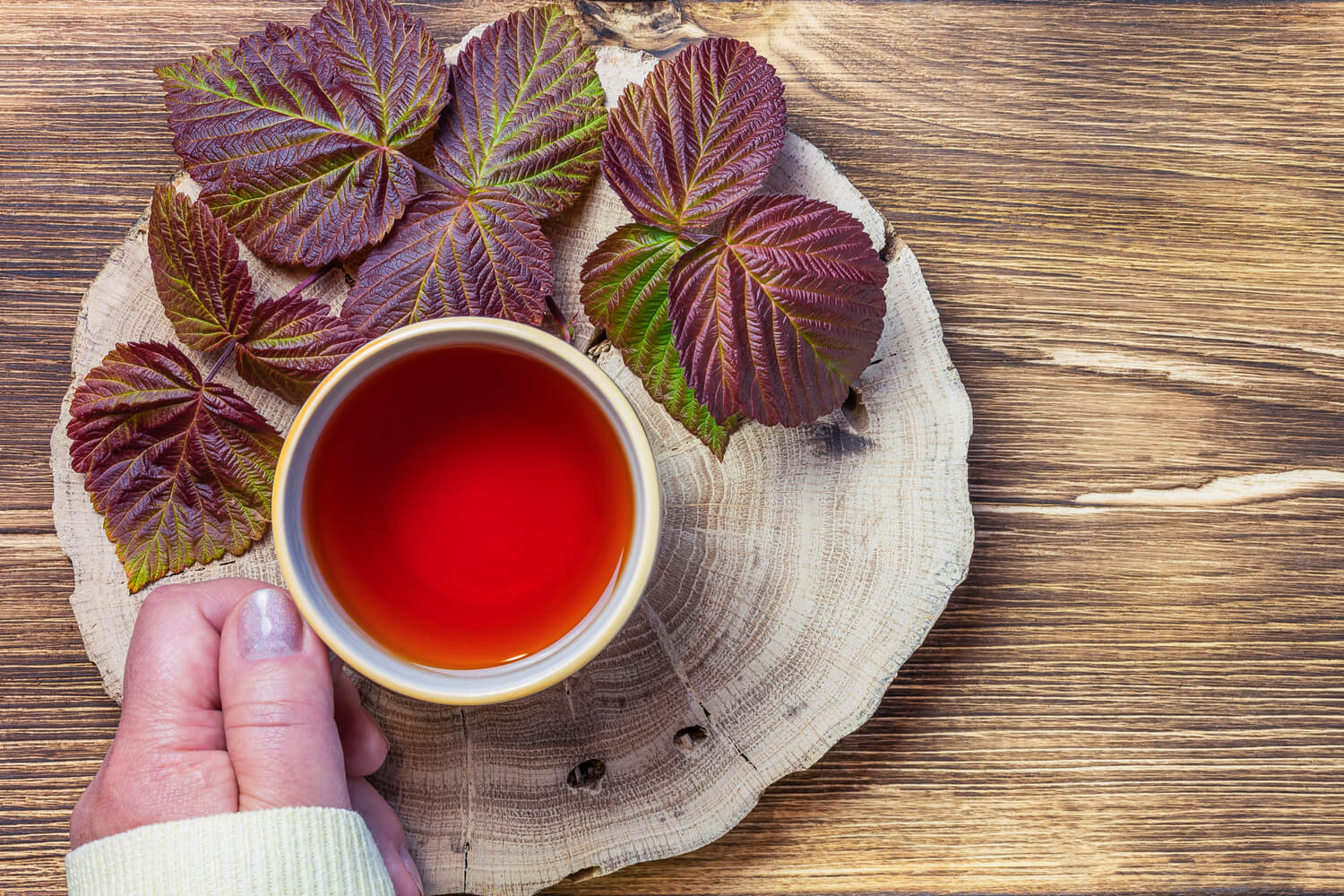 When To Start Drinking Red Raspberry Tea For Boosting Fertility_