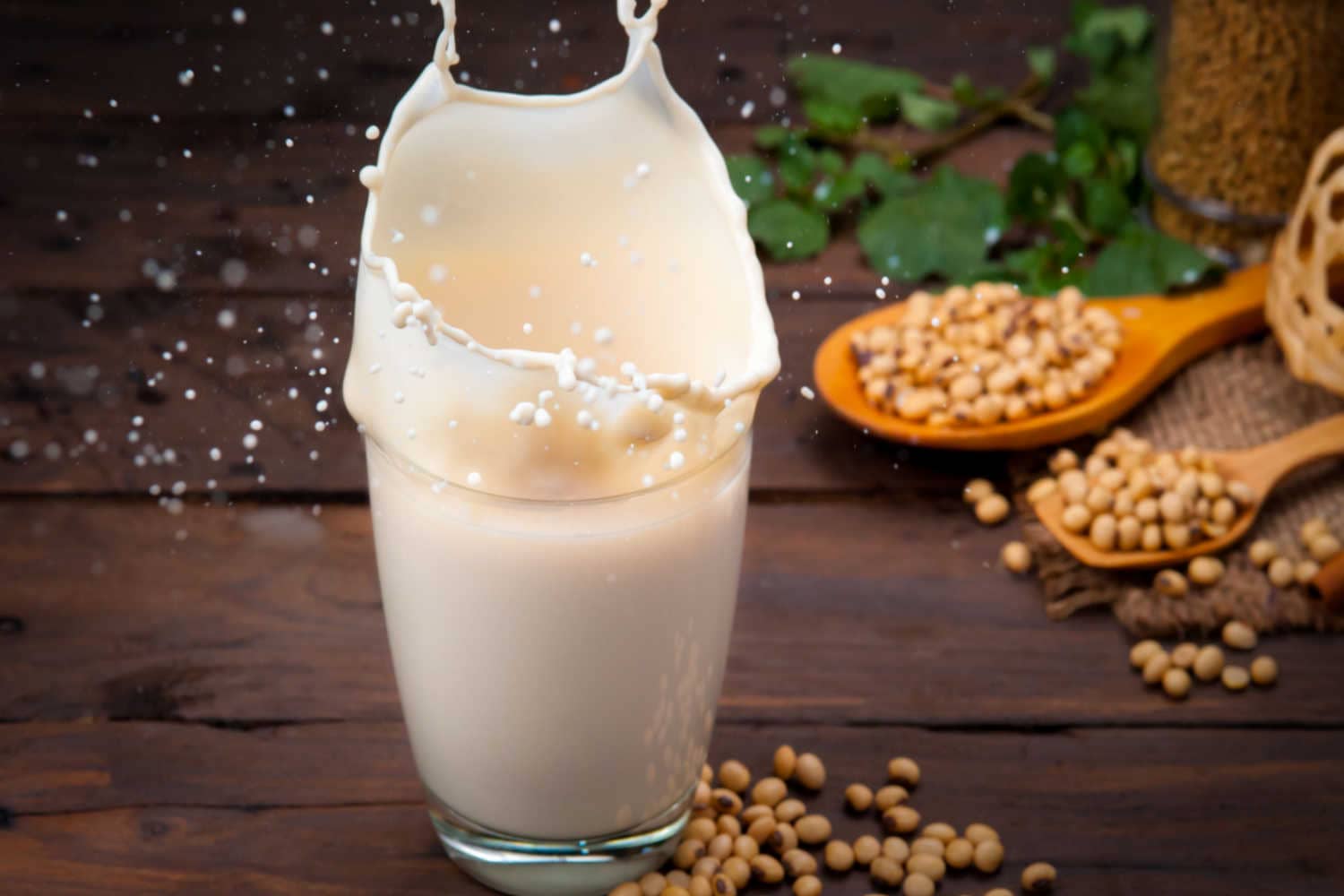 Soy Milk For Babies Benefits And SideEffects Being The Parent