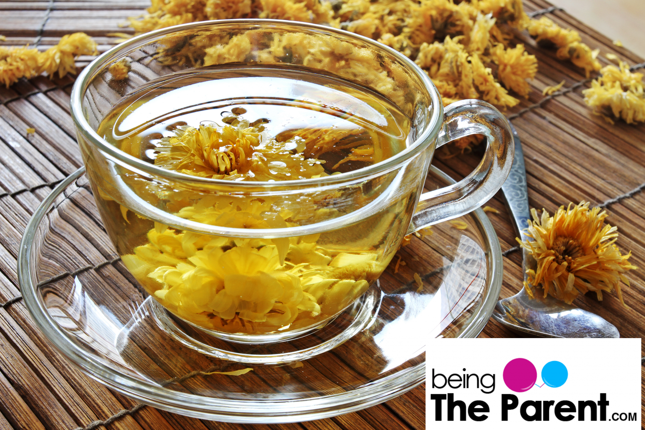 Is It Safe to Drink Chrysanthemum Tea During Pregnancy? Being The Parent
