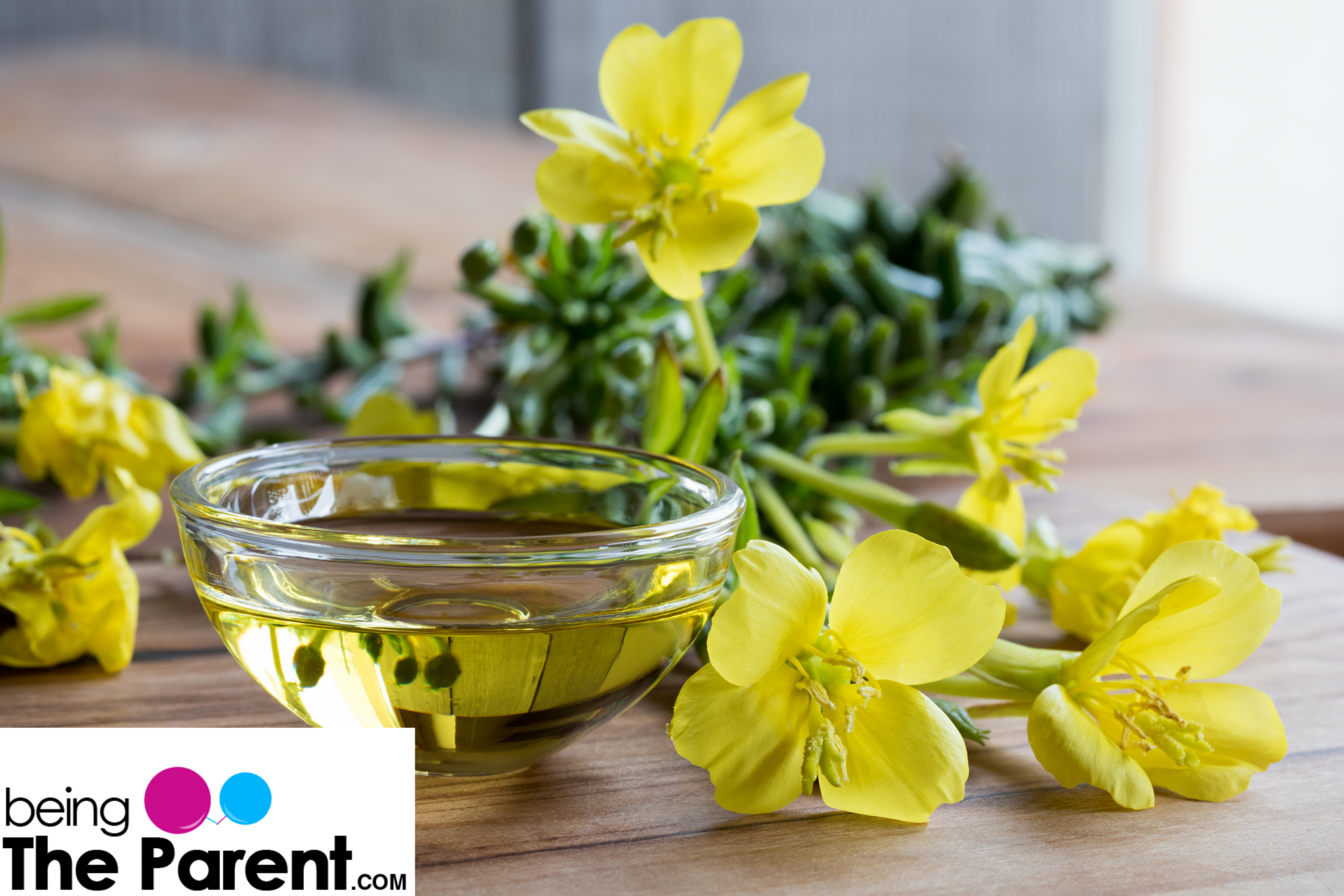 Is It Safe To Consume Evening Primrose Oil During ...