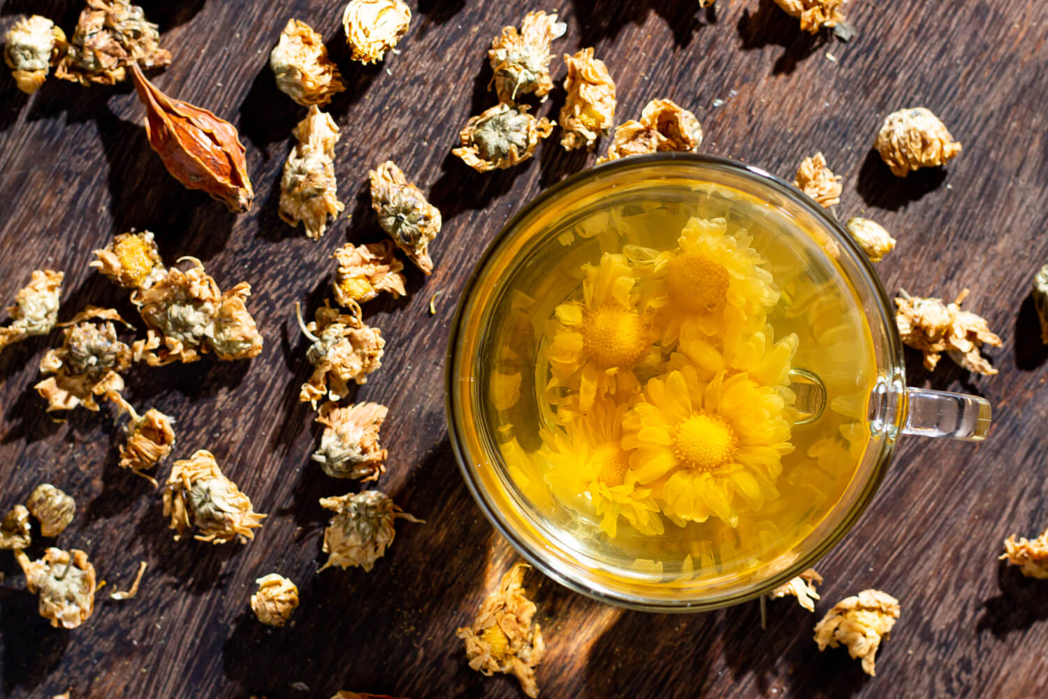 Is It Safe to Drink Chrysanthemum Tea During Pregnancy? Being The Parent