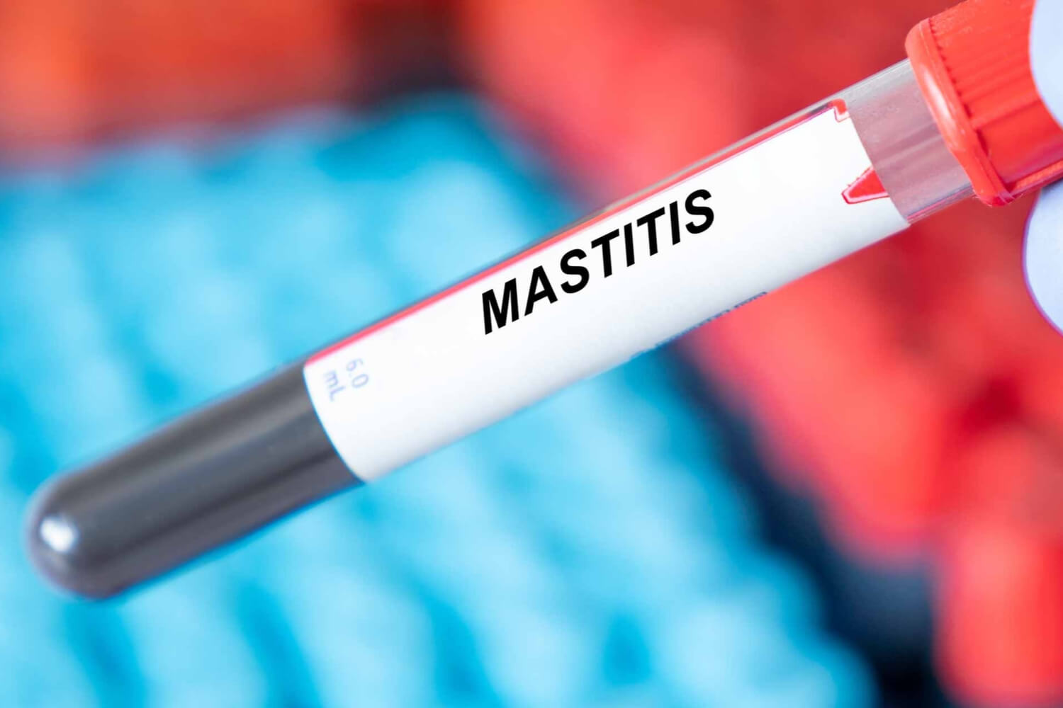 Mastitis treatment