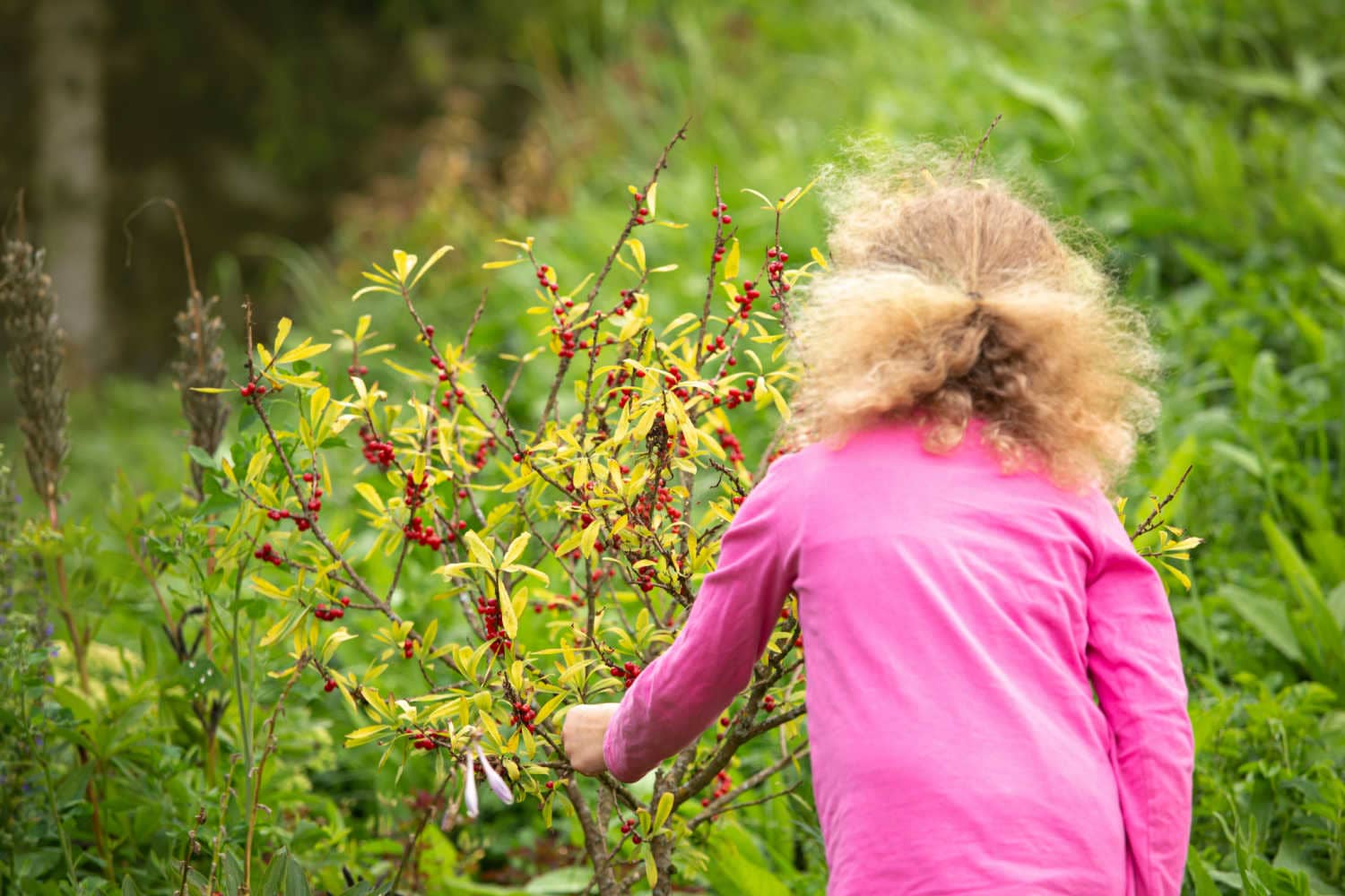 How To Protect Your Baby From Poisonous Plants by Dr. Chetan Ginigeri