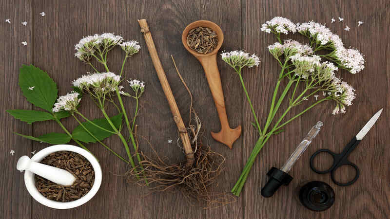 valerian root during pregnancy