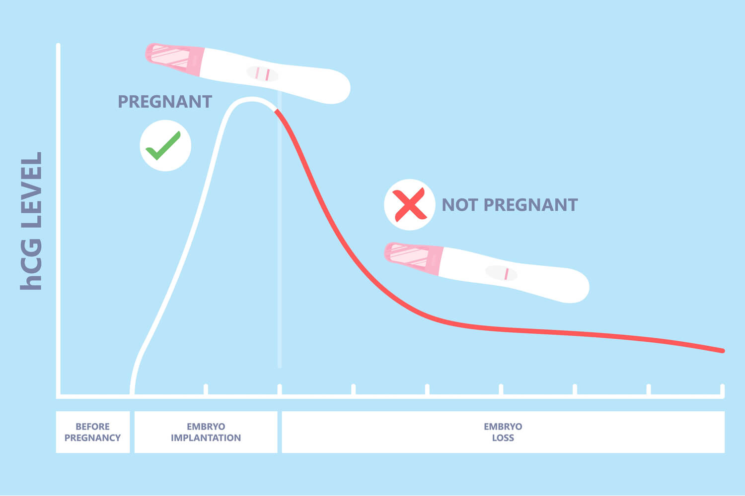 Causes For a False Positive Pregnancy Result