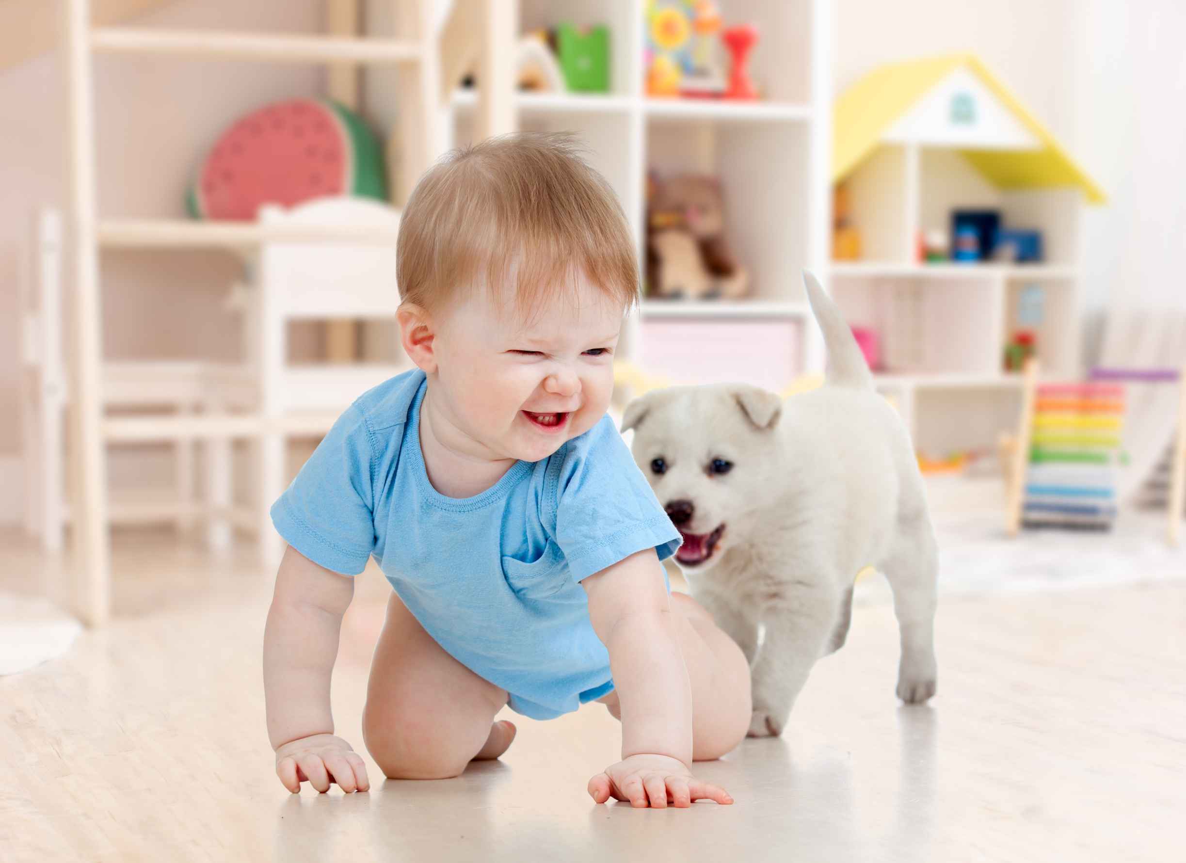home pet and baby friendly