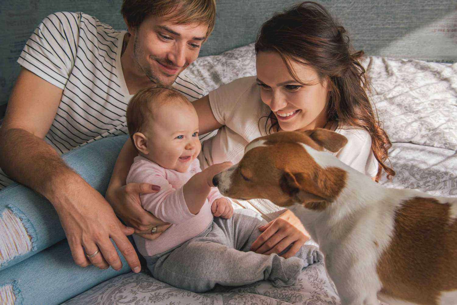 How To Make Your Home Pet- and Baby-Friendly
