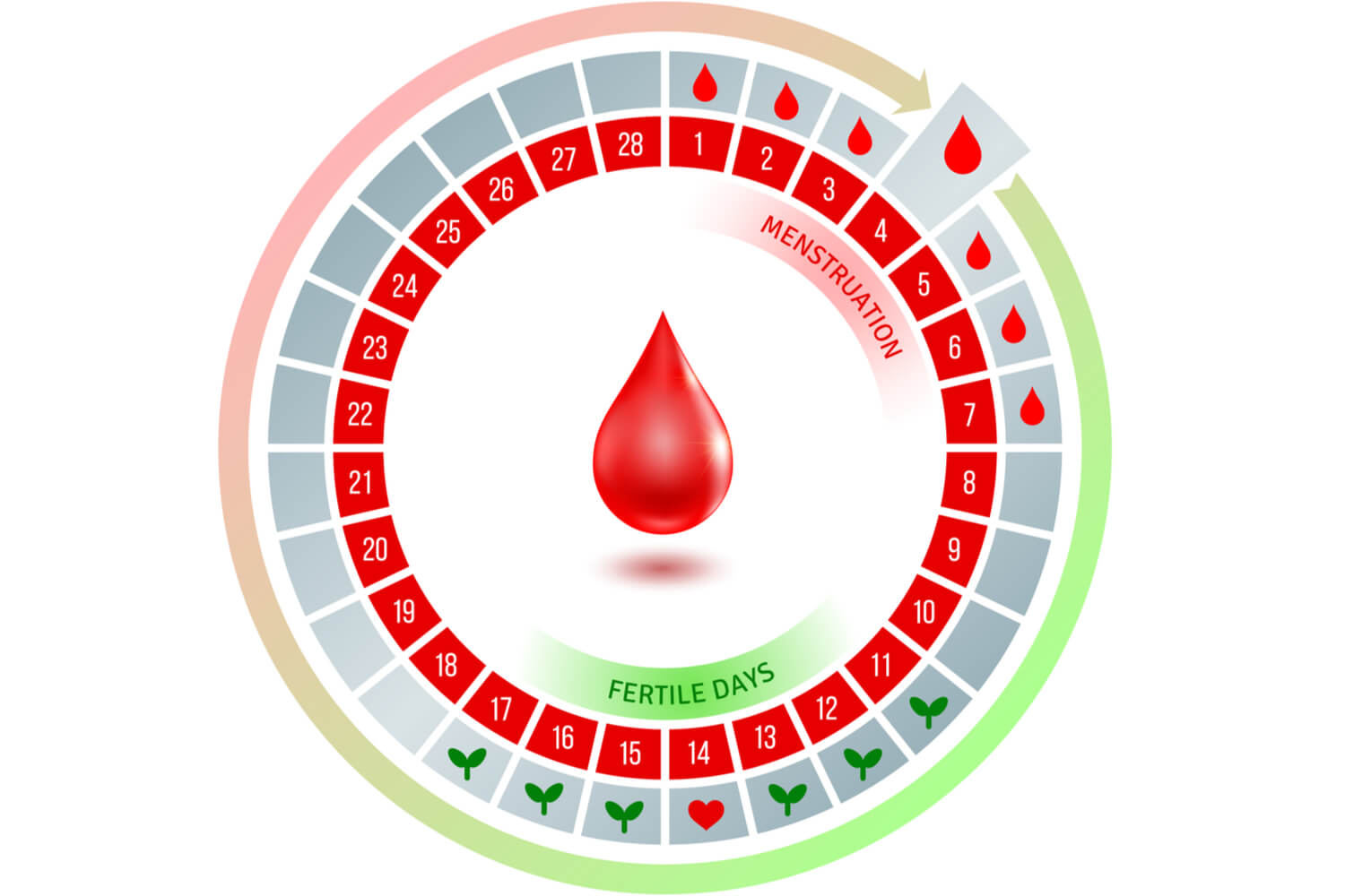 Sex Position to Conceive a Baby Being The Parent