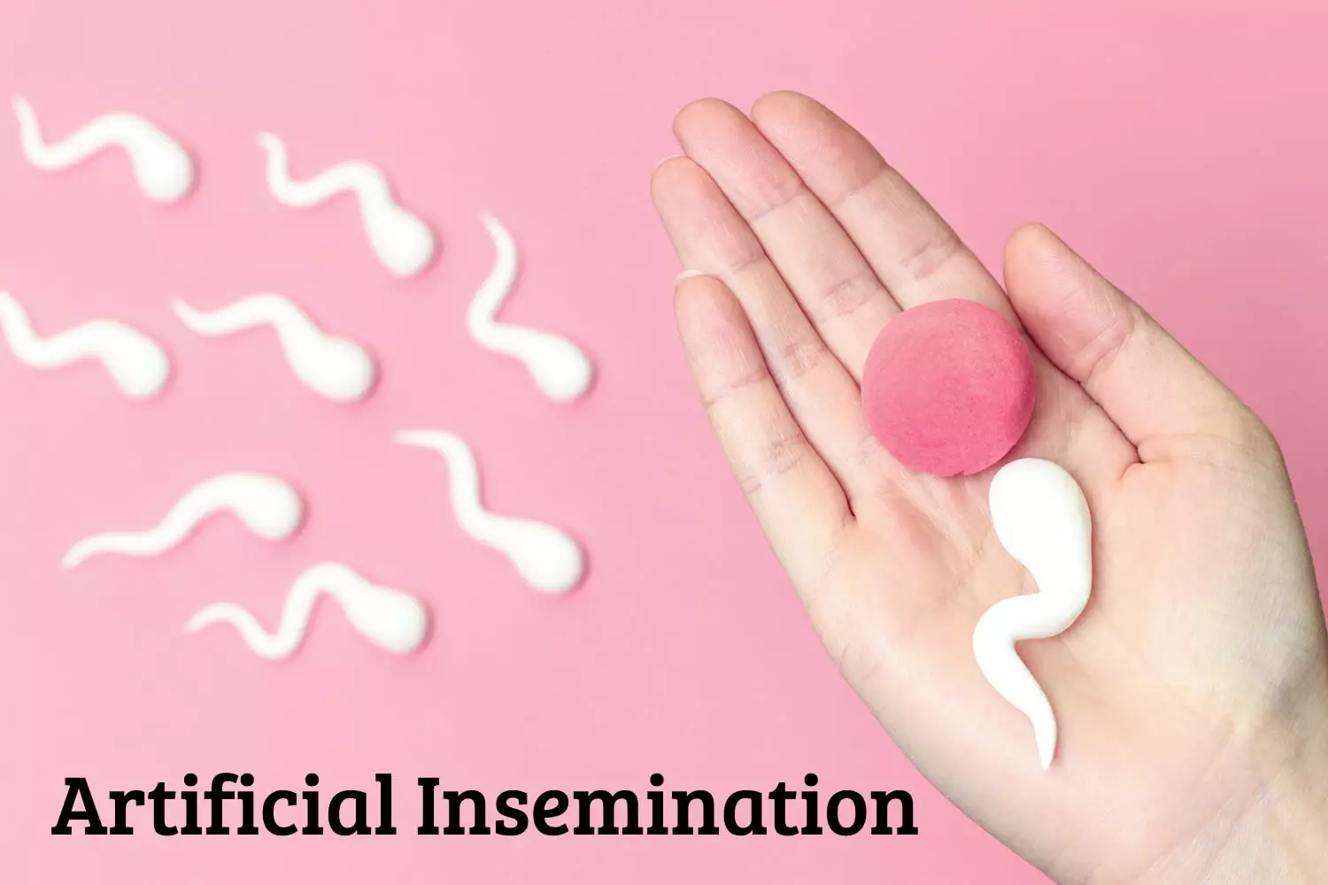 artificial insemination the fun way
