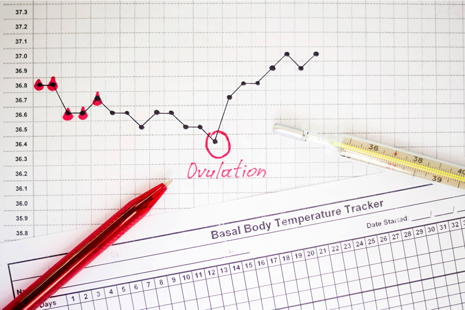 detecting ovulation and basal temperature 