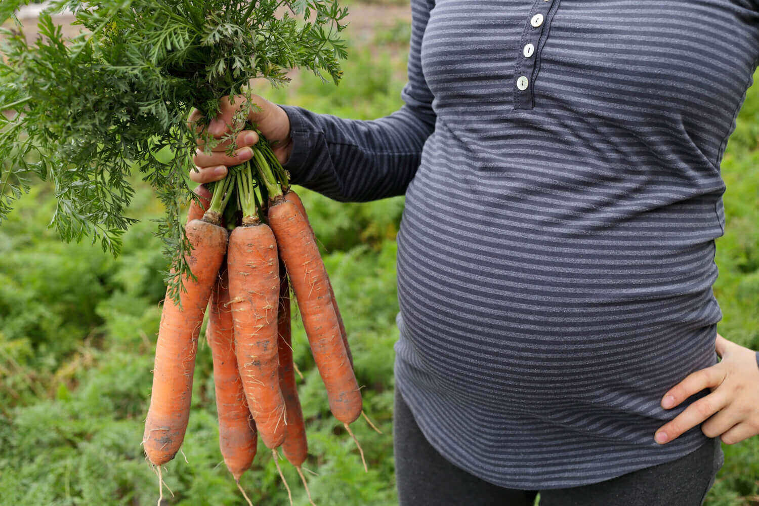 Carrot Pregnant women
