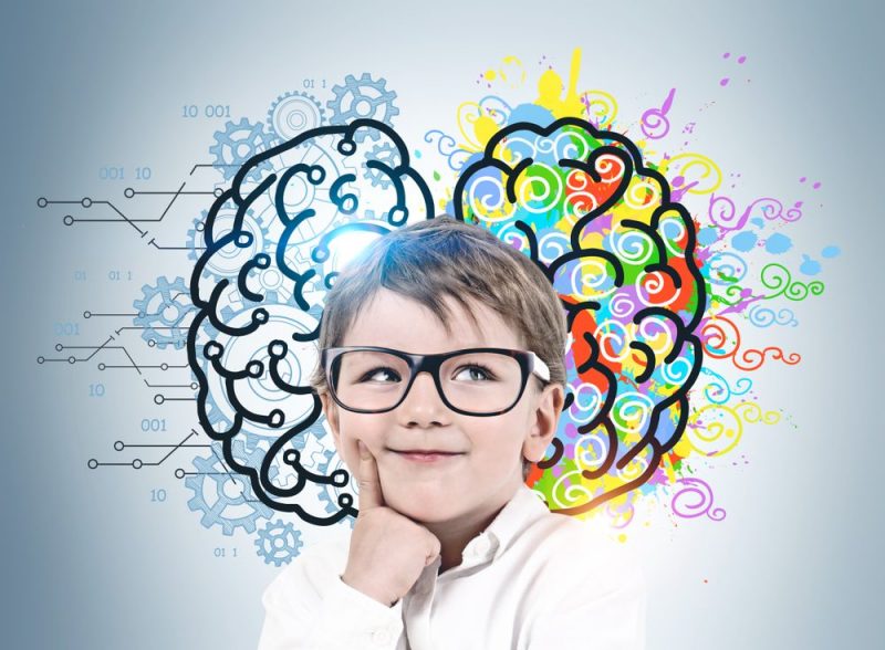 How Right is the Right Brain Education for Kids?
