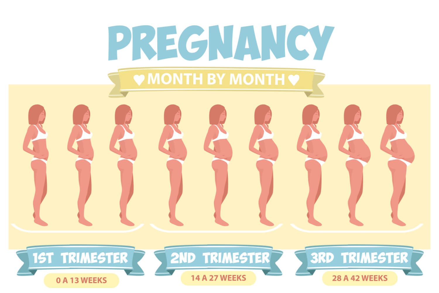 How To Calculate Pregnancy Weeks And Months? - Being The Parent