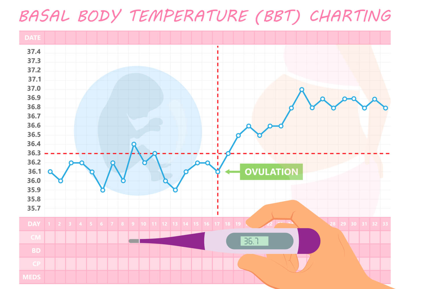 Basal Chart Not