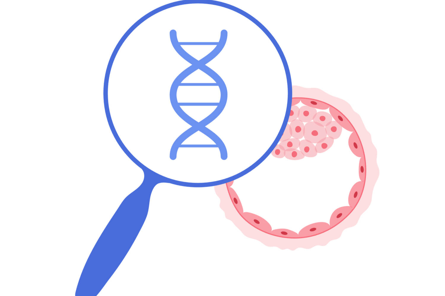 concept of Embryo genetic testing