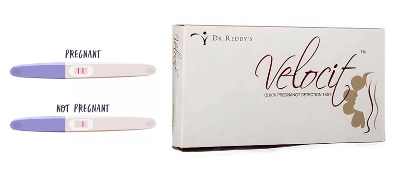 Velocit Pregnancy Kit