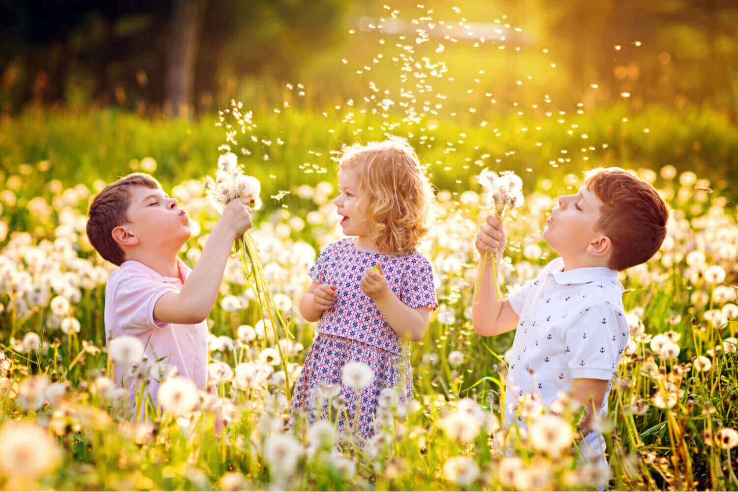 kids are playing with dandelion in the garden 