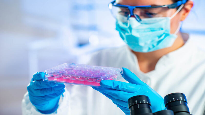 researcher