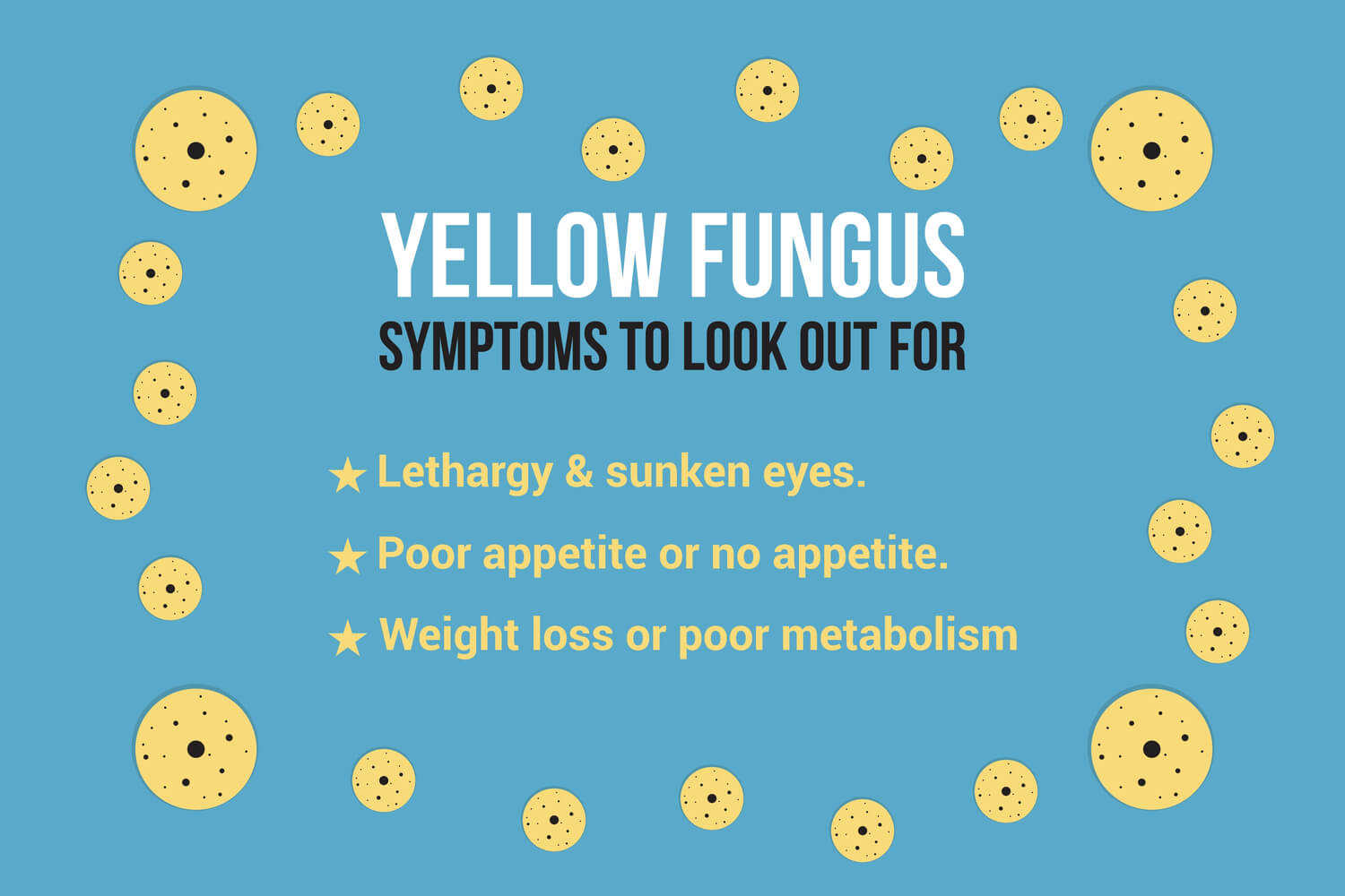 Black, White And Yellow Fungus In Kids Being The Parent