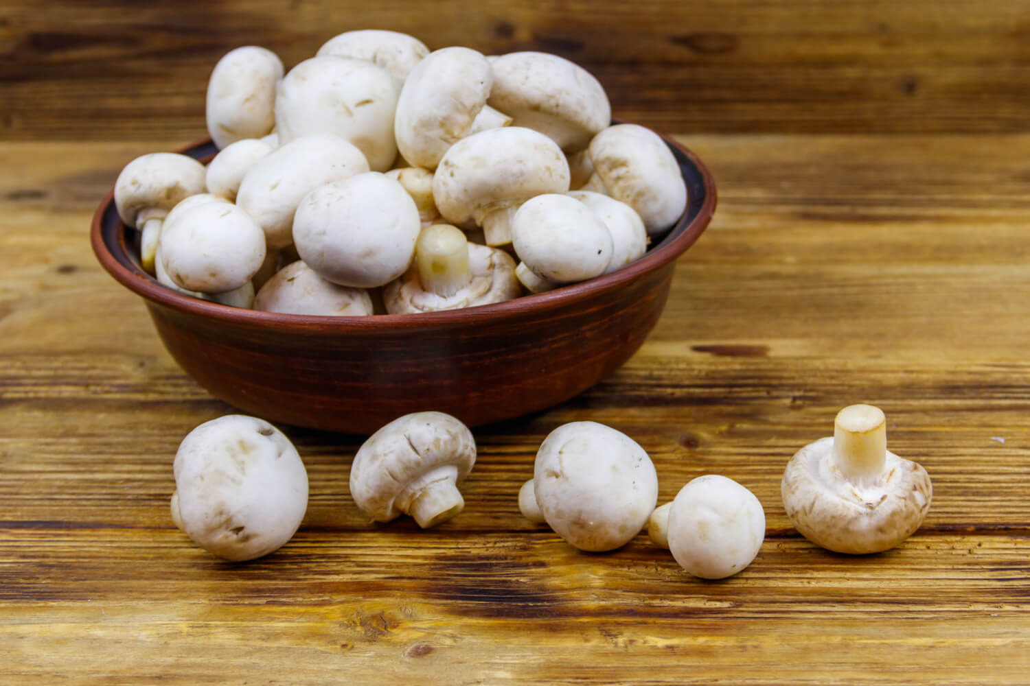 Mushrooms For Babies Health Benefits and Risks Being The Parent