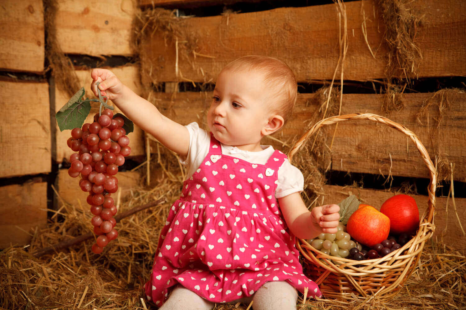 baby holding bunch of grapes