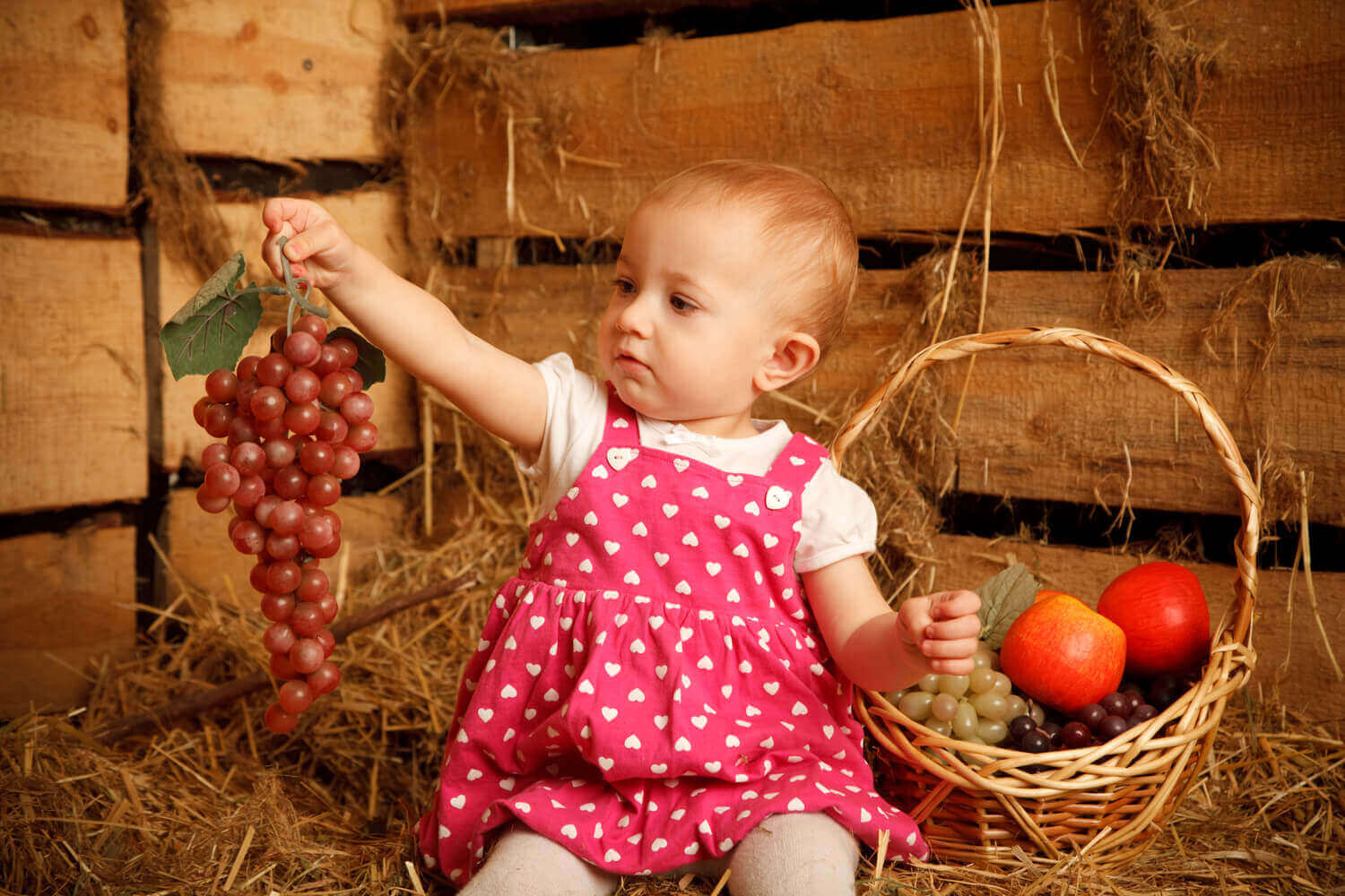 Grapes for Babies Nutritional Value And Benefits Being The Parent