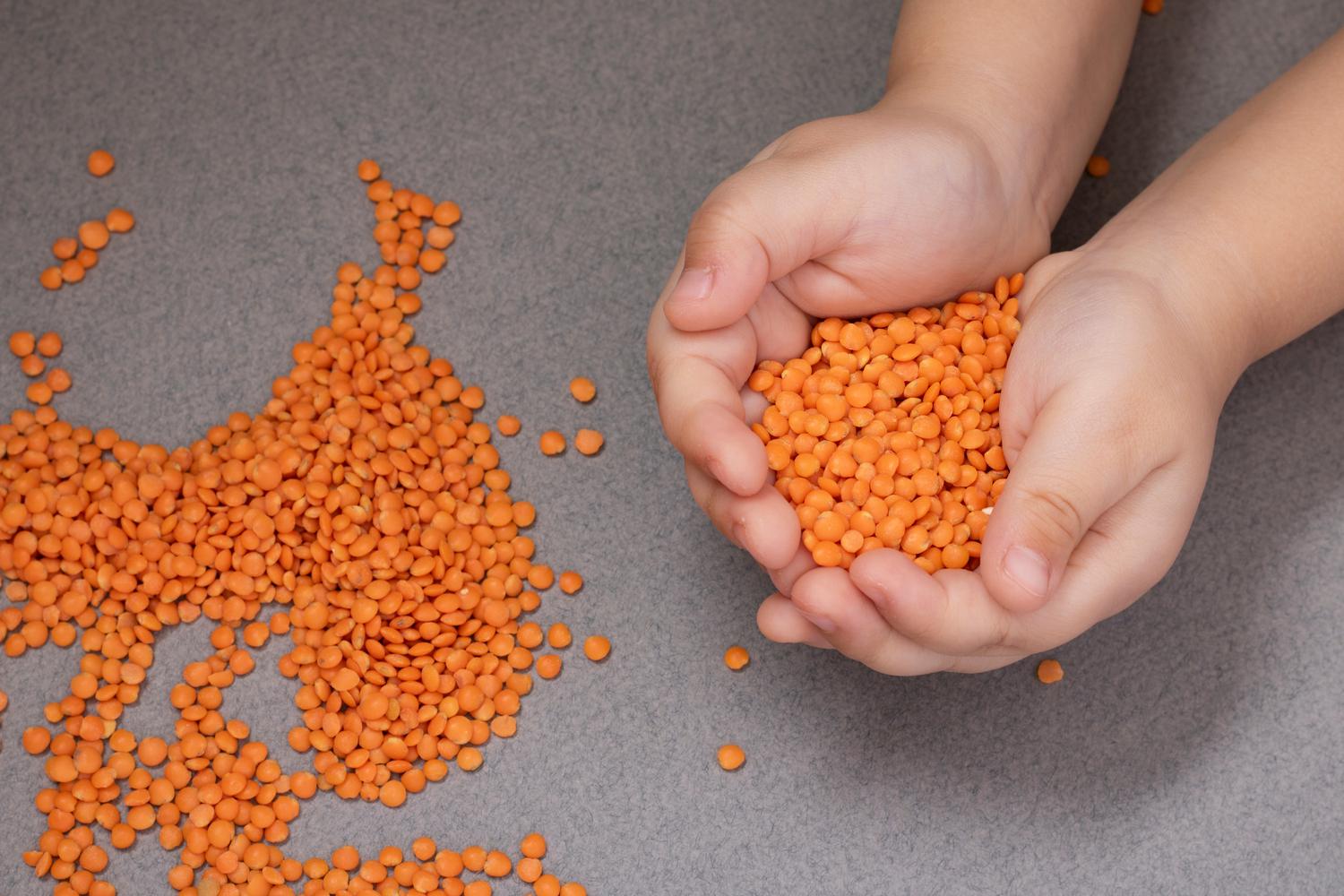 Lentils For Babies: When To Start, Benefits and Precautions