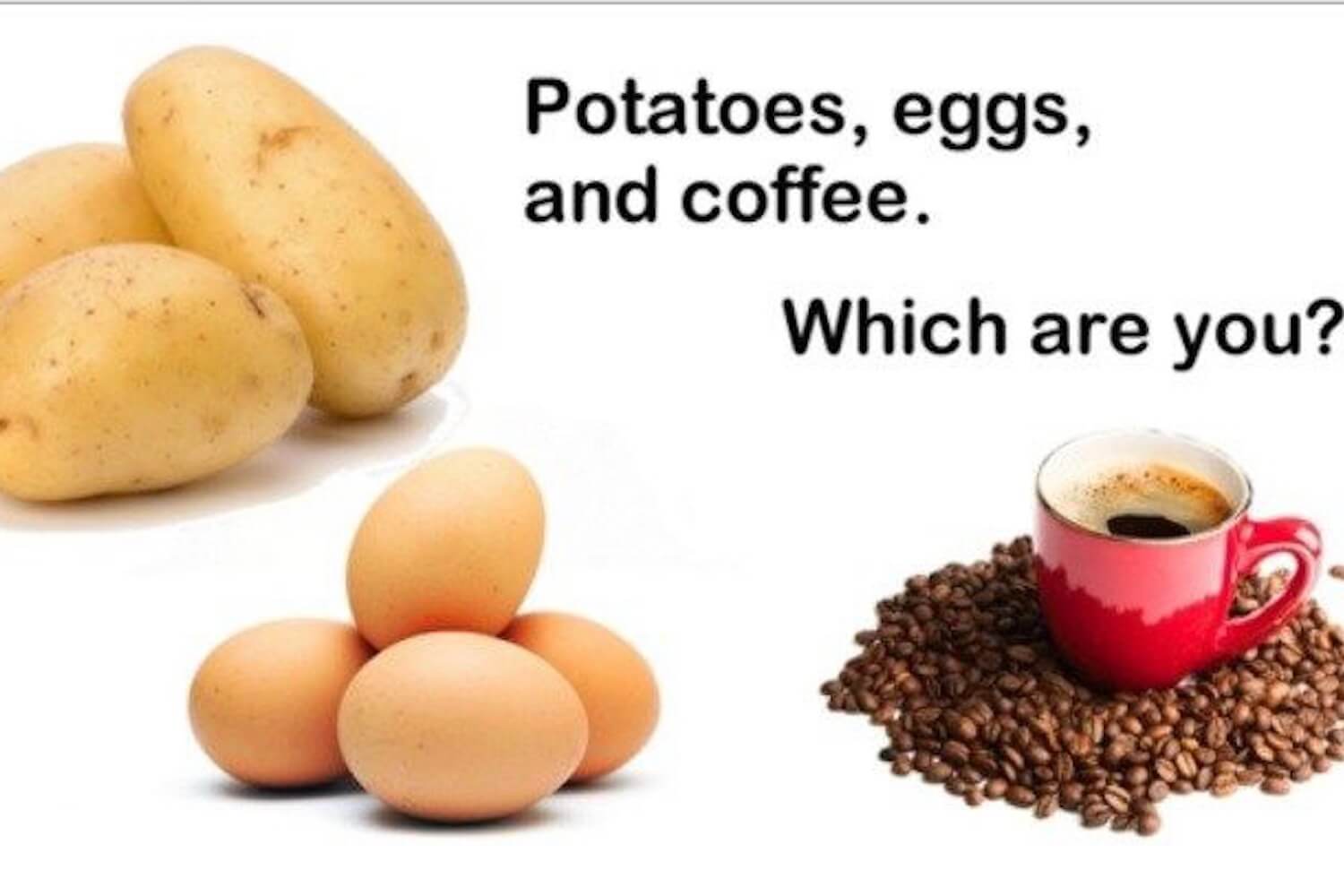 Potato, Egg, and Coffee Bean