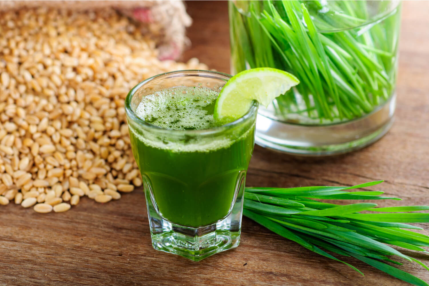 8 Wonderful Health Benefits of Wheatgrass During Pregnancy Being The