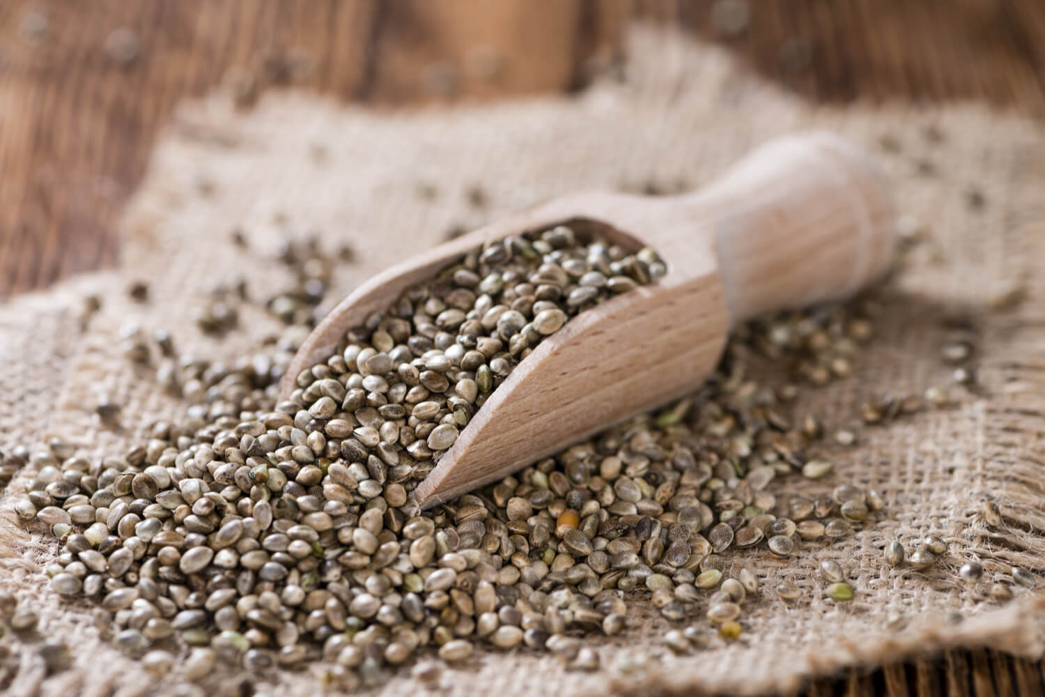 Can You Eat Hemp Seeds While Pregnant? 