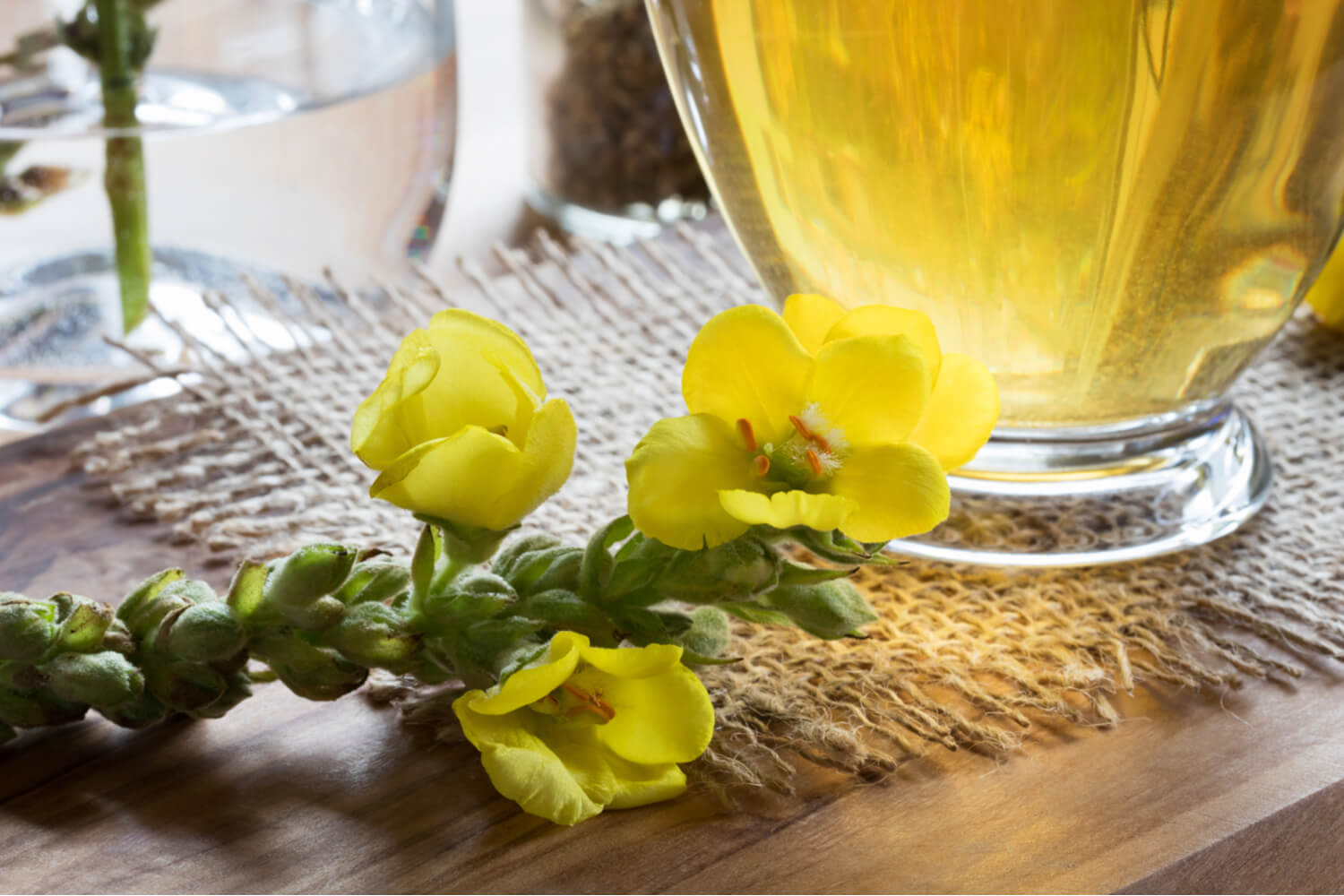 mullein tea