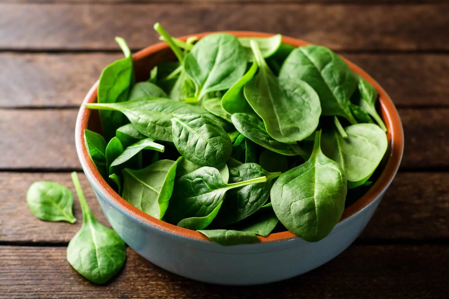 spinach for babies