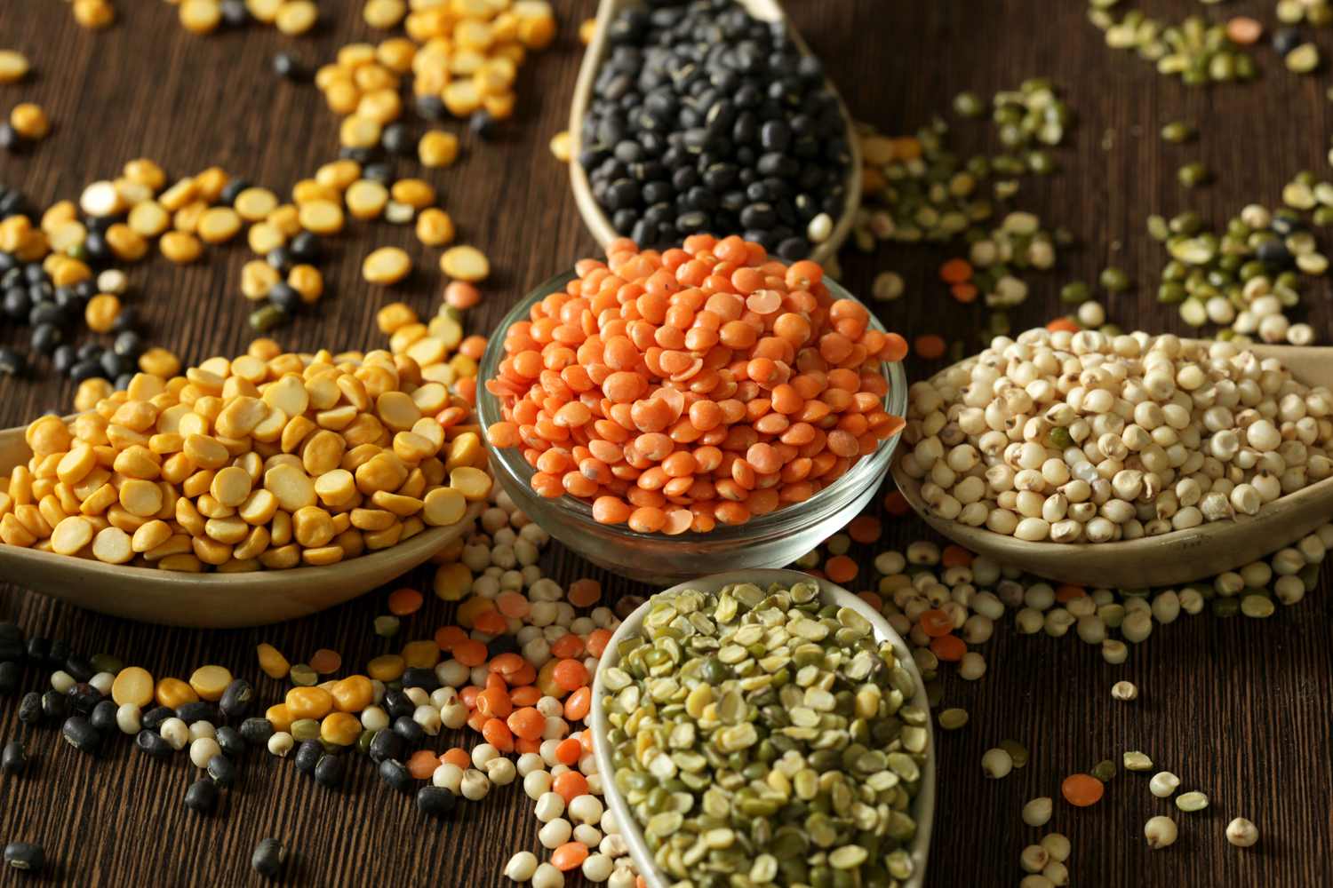 types of lentils