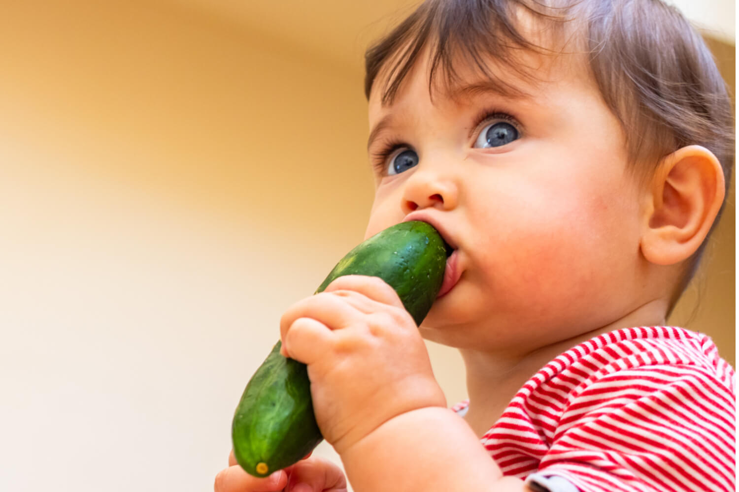Cucumber For Babies: Right Age, Benefits and Precautions