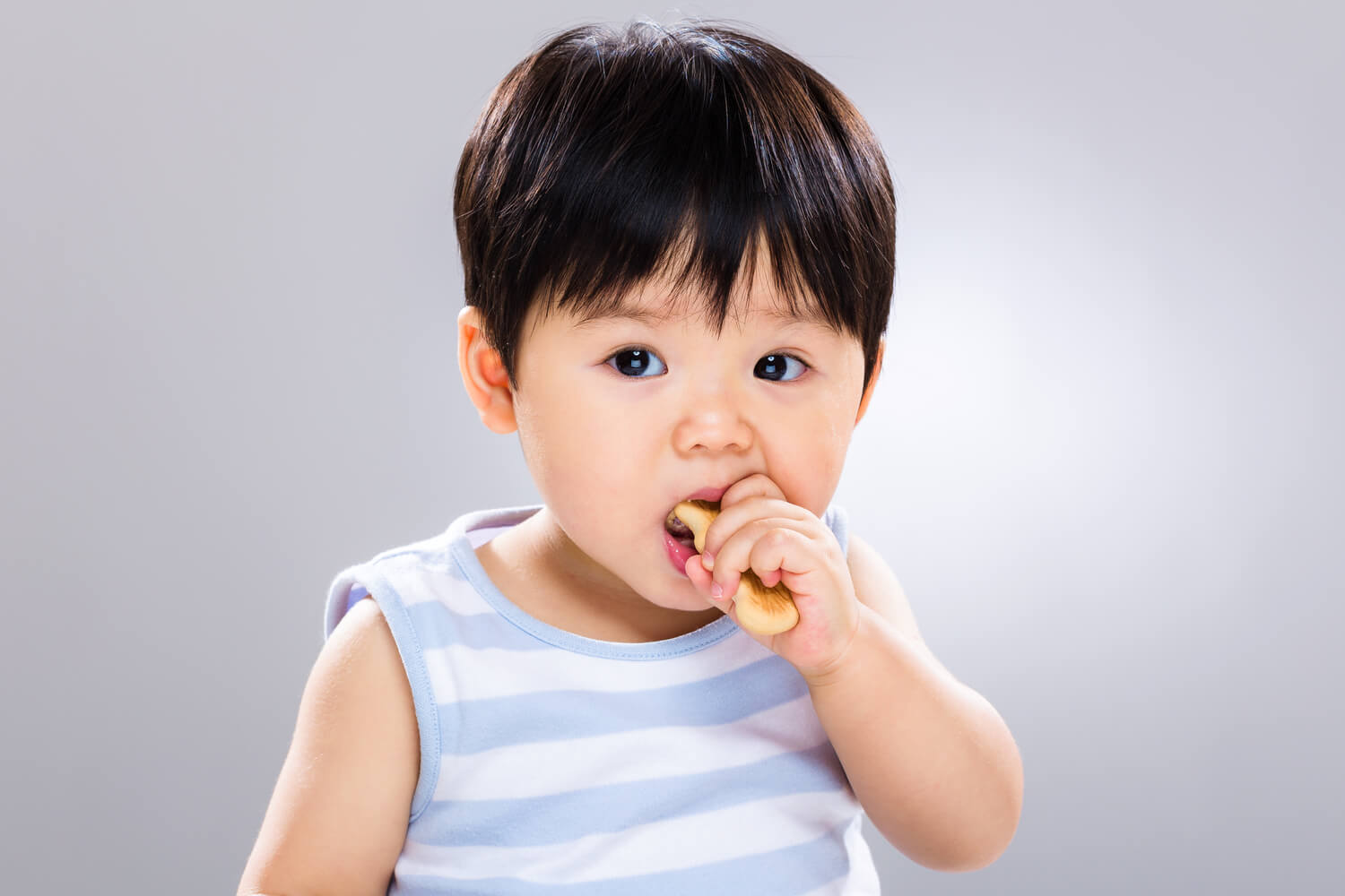 Best Biscuit Brands For Babies