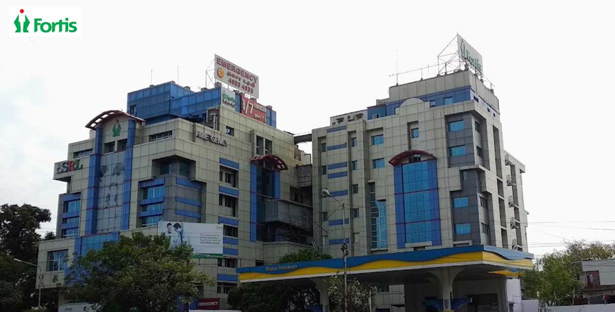 Fortis Malar