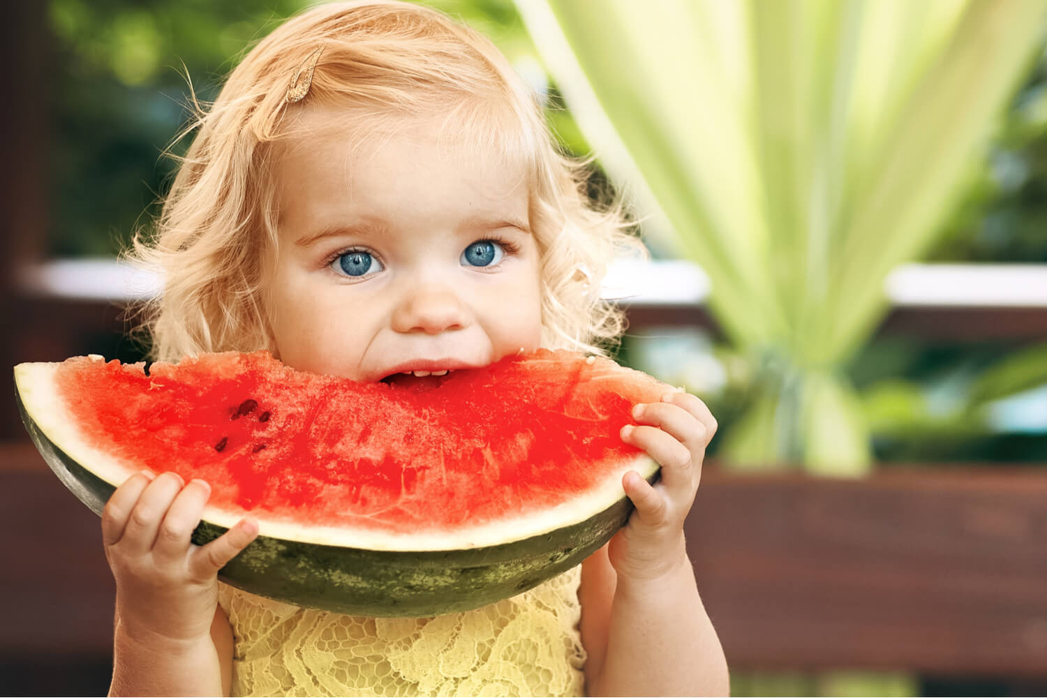 toddler healthy eating to prevent infection